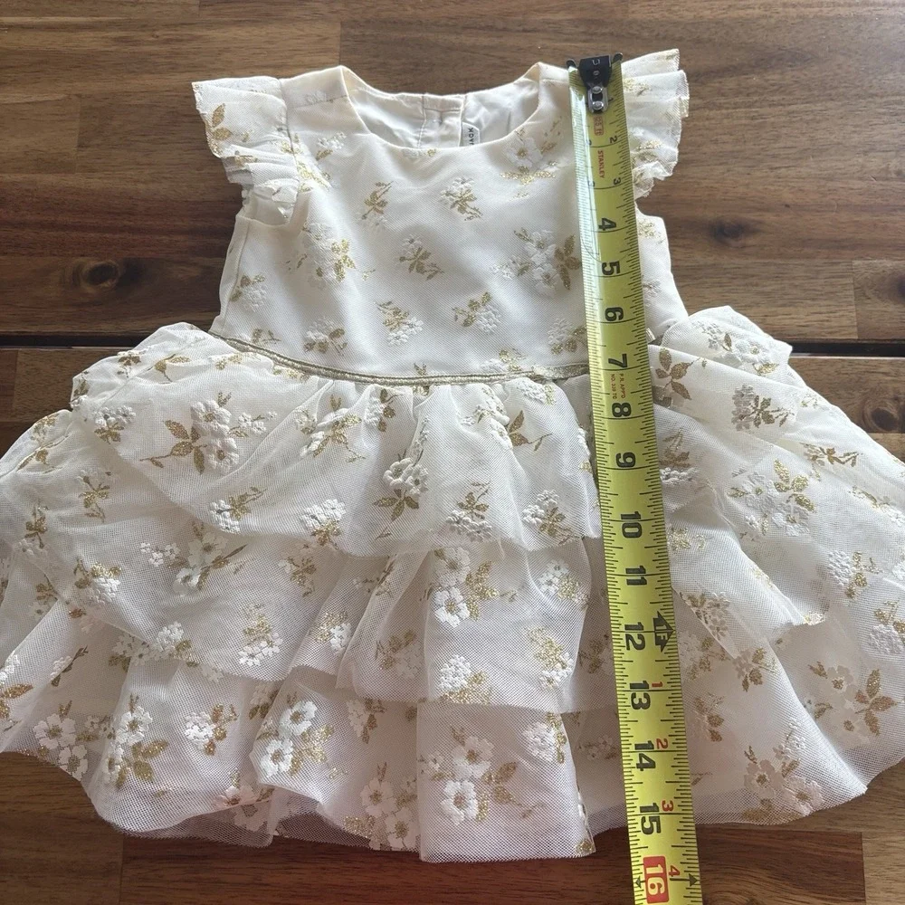 Janie and Jack dress new